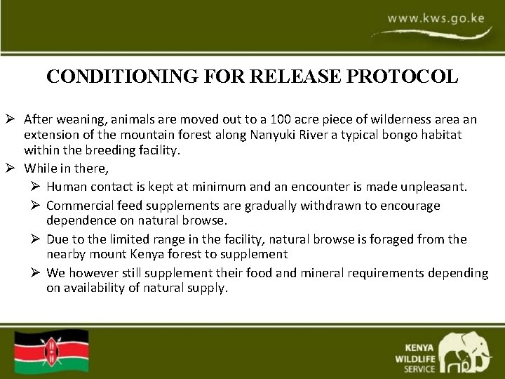 CONDITIONING FOR RELEASE PROTOCOL Ø After weaning, animals are moved out to a 100 CONDITIONING FOR RELEASE PROTOCOL Ø After weaning, animals are moved out to a 100
