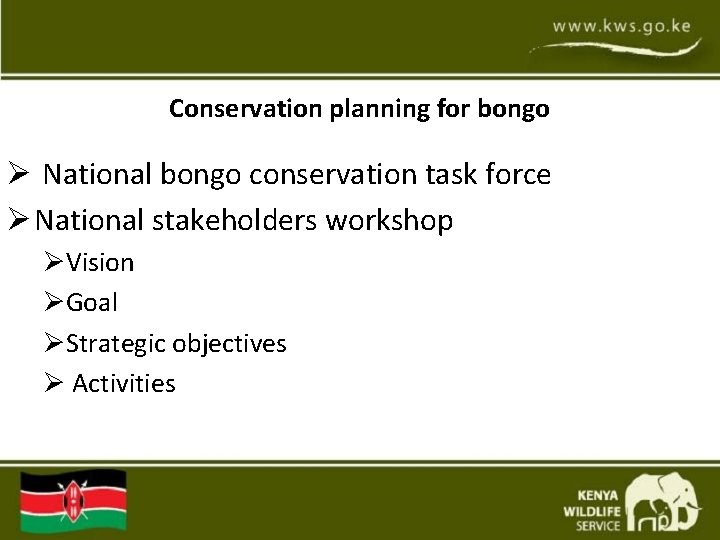 Conservation planning for bongo Ø National bongo conservation task force Ø National stakeholders workshop Conservation planning for bongo Ø National bongo conservation task force Ø National stakeholders workshop