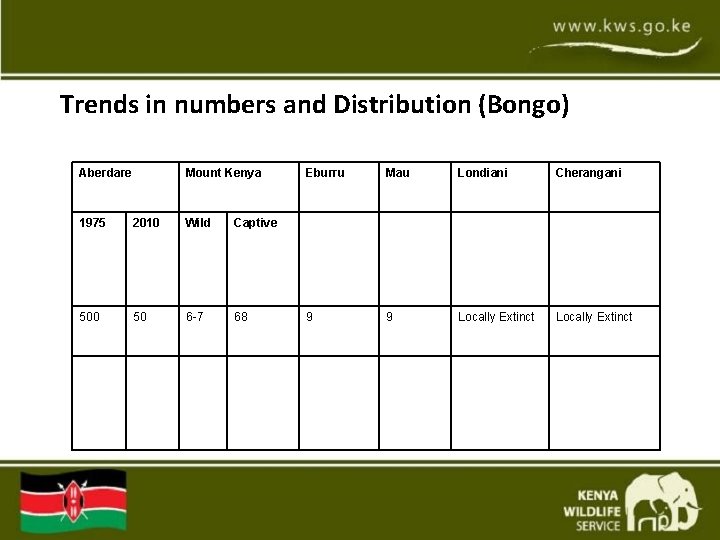 Trends in numbers and Distribution (Bongo) Aberdare Mount Kenya 1975 2010 Wild Captive 500 Trends in numbers and Distribution (Bongo) Aberdare Mount Kenya 1975 2010 Wild Captive 500