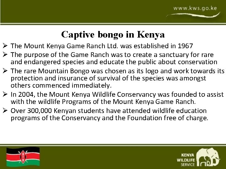 Captive bongo in Kenya Ø The Mount Kenya Game Ranch Ltd. was established in Captive bongo in Kenya Ø The Mount Kenya Game Ranch Ltd. was established in