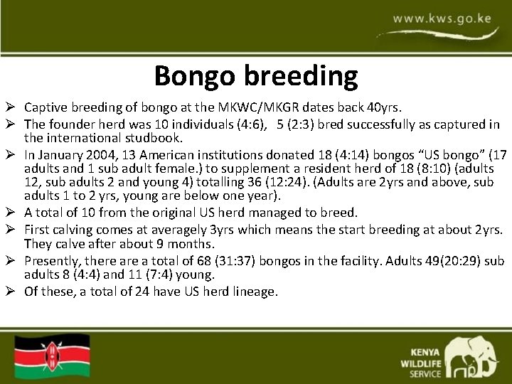 Bongo breeding Ø Captive breeding of bongo at the MKWC/MKGR dates back 40 yrs. Bongo breeding Ø Captive breeding of bongo at the MKWC/MKGR dates back 40 yrs.