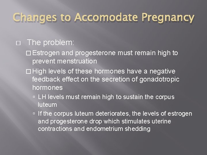 Changes to Accomodate Pregnancy � The problem: � Estrogen and progesterone must remain high