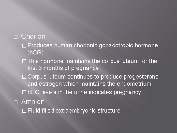 � Chorion � Produces human chorionic gonadotropic hormone (h. CG) � This hormone maintains