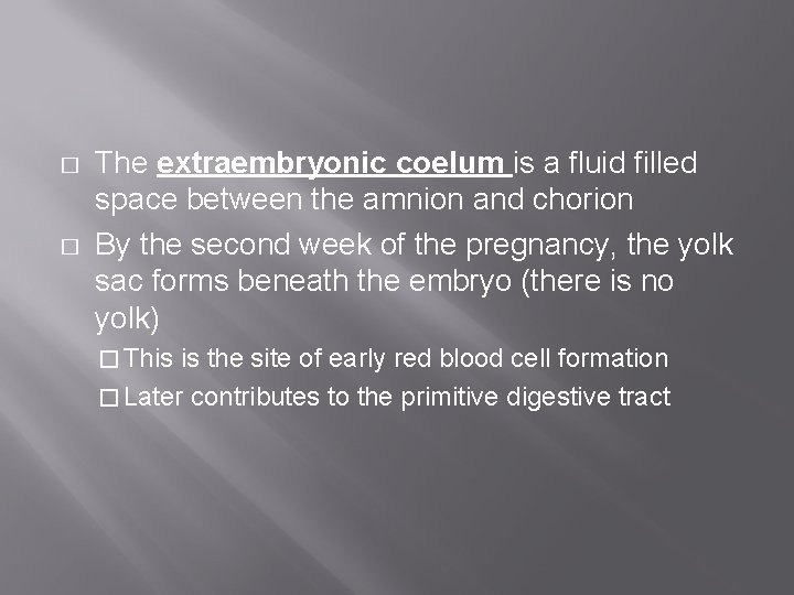 � � The extraembryonic coelum is a fluid filled space between the amnion and