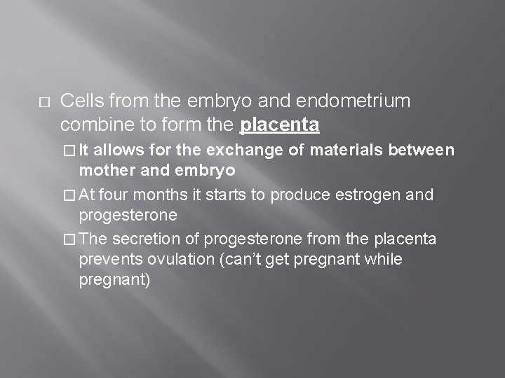 � Cells from the embryo and endometrium combine to form the placenta � It