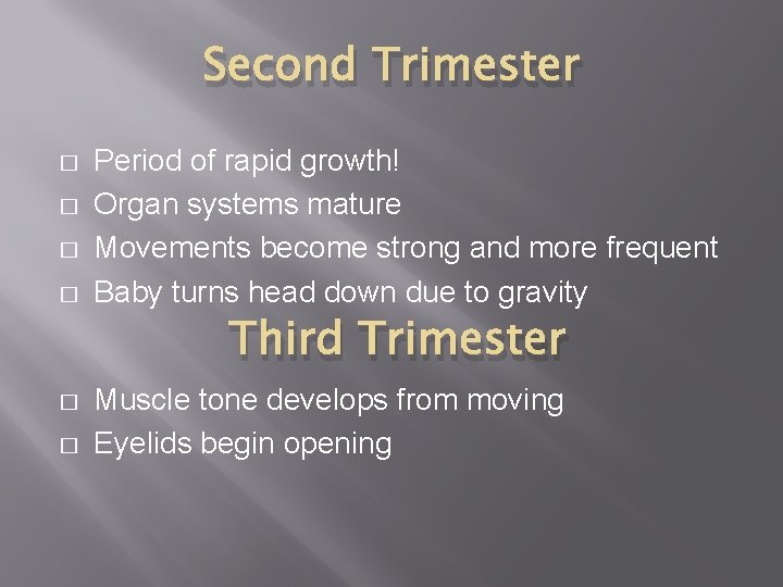 Second Trimester � � Period of rapid growth! Organ systems mature Movements become strong