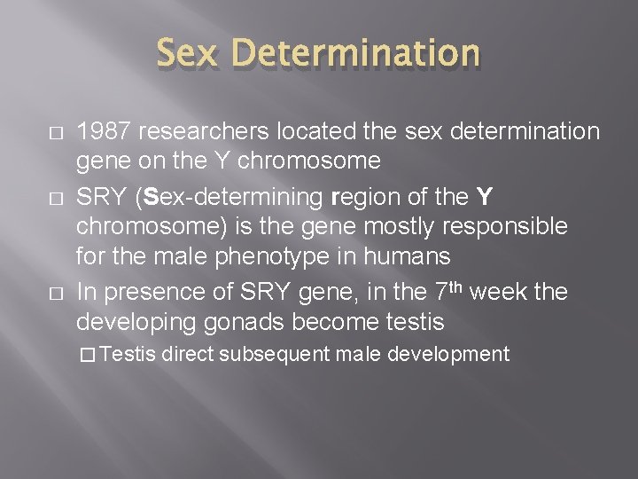 Sex Determination � � � 1987 researchers located the sex determination gene on the