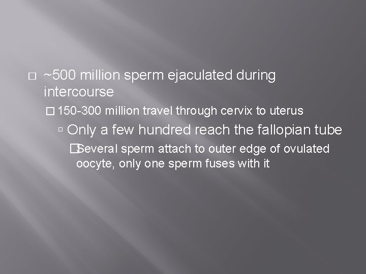 � ~500 million sperm ejaculated during intercourse � 150 -300 million travel through cervix