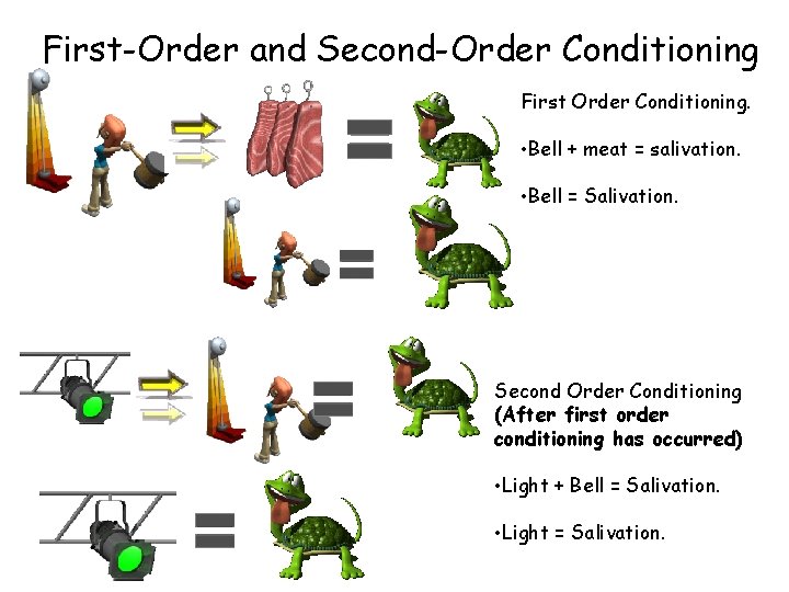 First-Order and Second-Order Conditioning First Order Conditioning. • Bell + meat = salivation. •