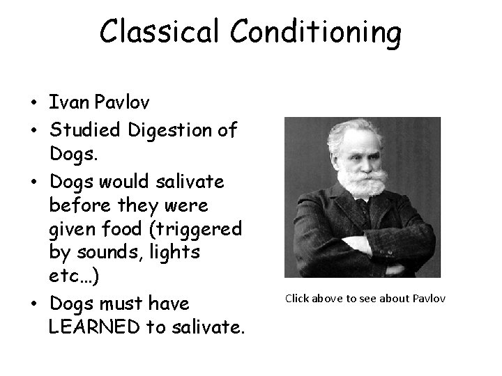 Classical Conditioning • Ivan Pavlov • Studied Digestion of Dogs. • Dogs would salivate