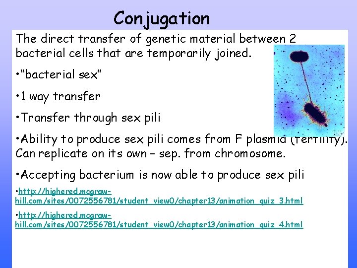 Conjugation The direct transfer of genetic material between 2 bacterial cells that are temporarily