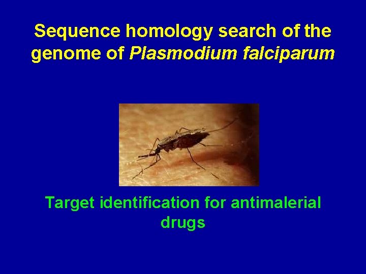 Sequence homology search of the genome of Plasmodium falciparum Target identification for antimalerial drugs