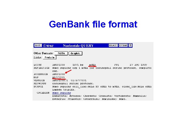 Gen. Bank file format 