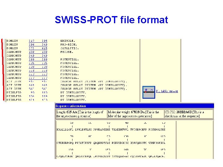 SWISS-PROT file format 