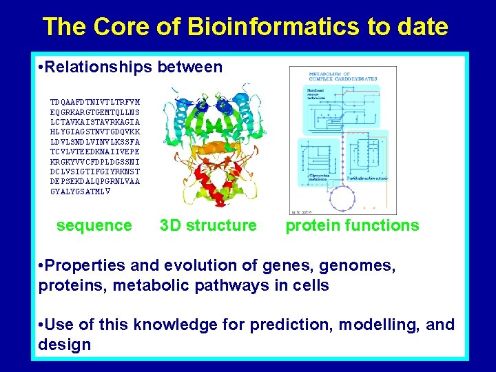 The Core of Bioinformatics to date • Relationships between TDQAAFDTNIVTLTRFVM EQGRKARGTGEMTQLLNS LCTAVKAISTAVRKAGIA HLYGIAGSTNVTGDQVKK LDVLSNDLVINVLKSSFA