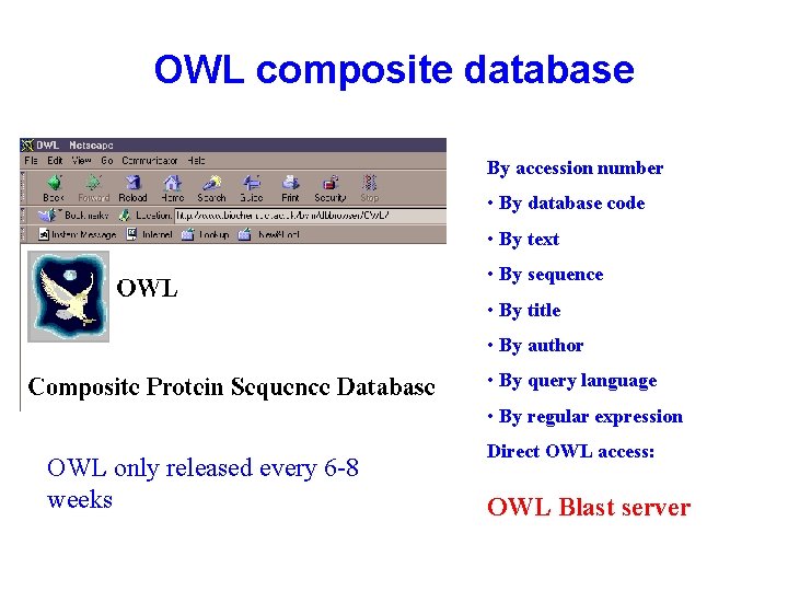 OWL composite database By accession number • By database code • By text •