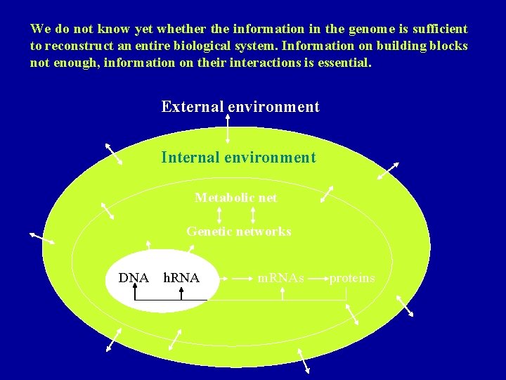 We do not know yet whether the information in the genome is sufficient to