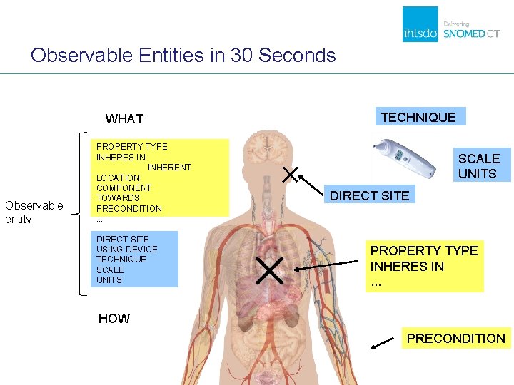 Observable Entities in 30 Seconds WHAT Observable entity PROPERTY TYPE INHERES IN INHERENT LOCATION Observable Entities in 30 Seconds WHAT Observable entity PROPERTY TYPE INHERES IN INHERENT LOCATION