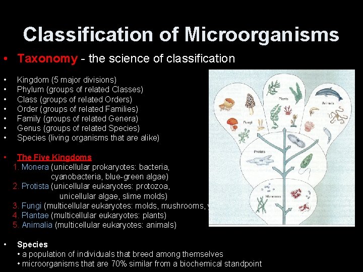 Classification of Microorganisms • Taxonomy - the science of classification • • • Kingdom