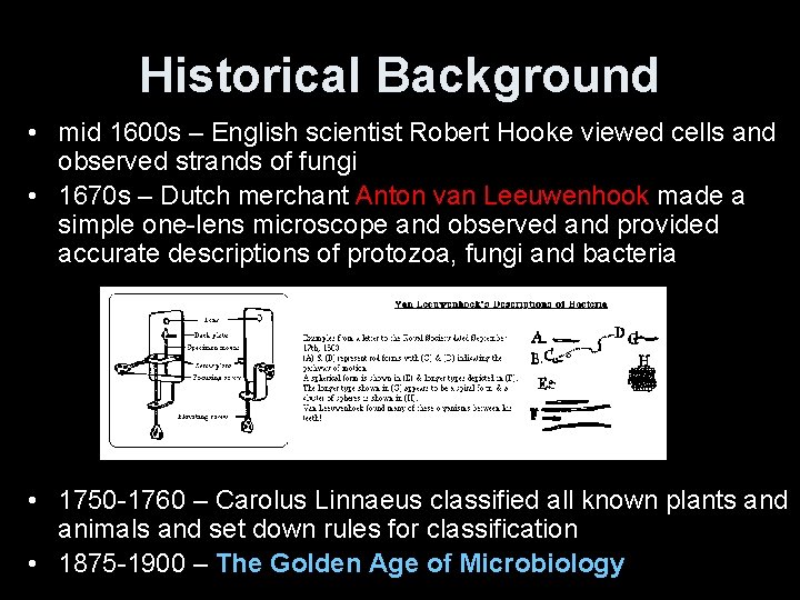 Historical Background • mid 1600 s – English scientist Robert Hooke viewed cells and