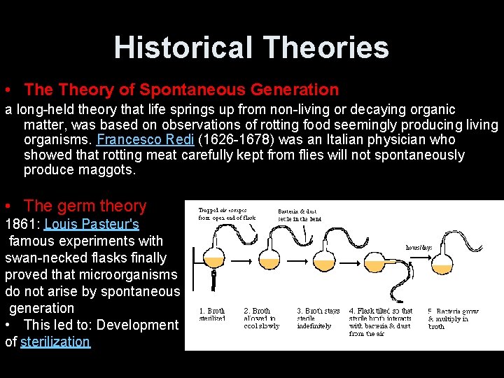 Historical Theories • Theory of Spontaneous Generation a long-held theory that life springs up