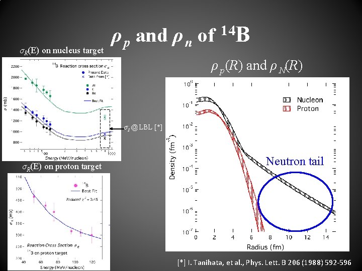 σR(E) on nucleus target ρ p and ρ n of 14 B ρ p(R)