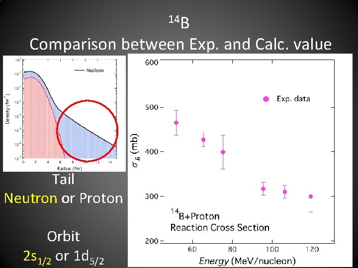 14 B Comparison between Exp. and Calc. value Tail Neutron or Proton Orbit 2