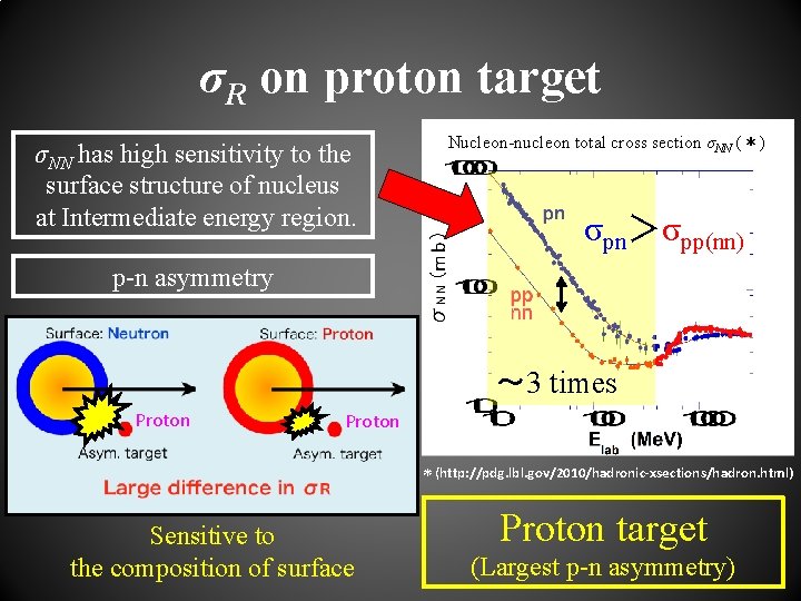 σR on proton target σNN has high sensitivity to the surface structure of nucleus