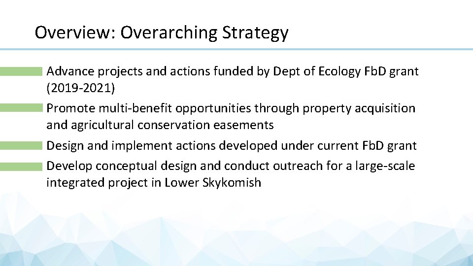 Overview: Overarching Strategy • Advance projects and actions funded by Dept of Ecology Fb.