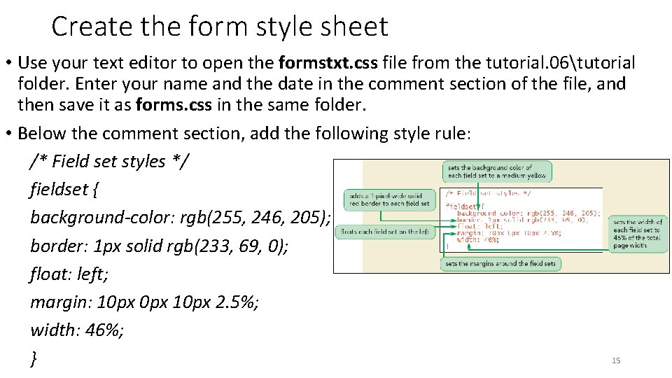 Create the form style sheet • Use your text editor to open the formstxt.