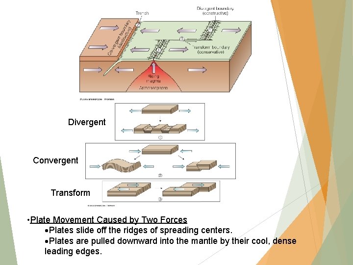 Divergent Convergent Transform • Plate Movement Caused by Two Forces Plates slide off the