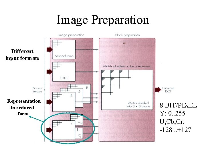 Image Preparation Different input formats Representation in reduced form 8 BIT/PIXEL Y: 0. .