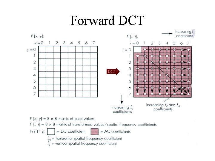 Forward DCT 
