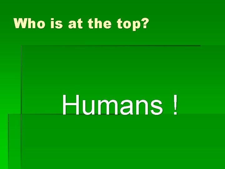 Who is at the top? Humans ! 