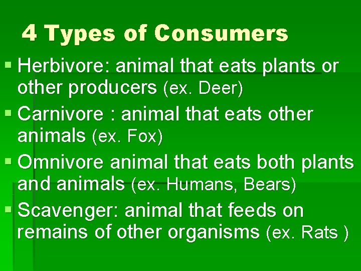4 Types of Consumers § Herbivore: animal that eats plants or other producers (ex.
