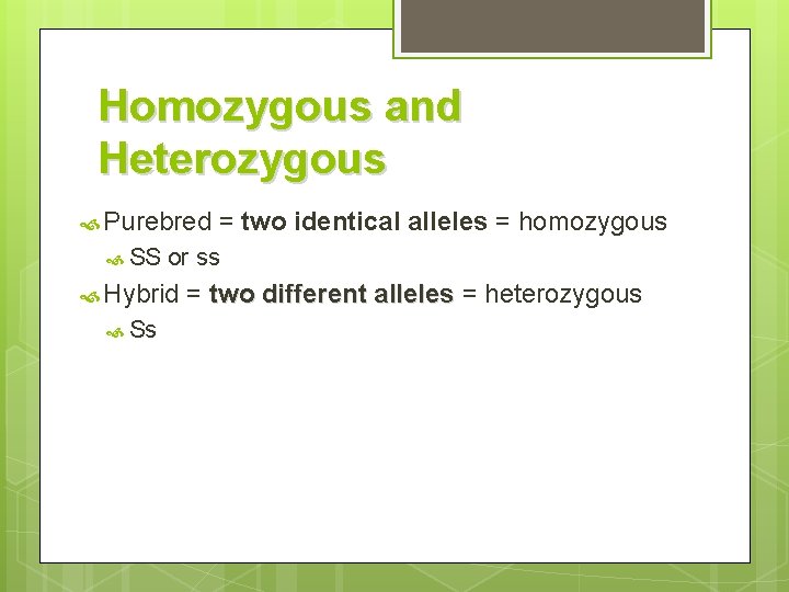 Homozygous and Heterozygous Purebred SS or ss Hybrid Ss = two identical alleles =