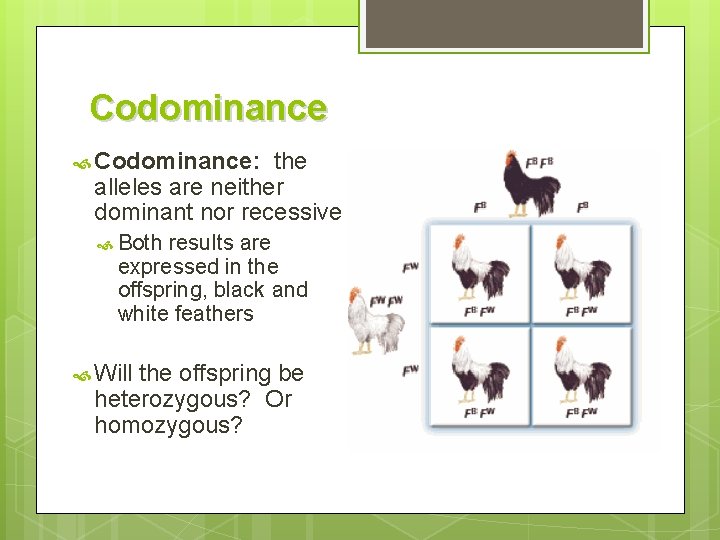Codominance Codominance: the alleles are neither dominant nor recessive Both results are expressed in
