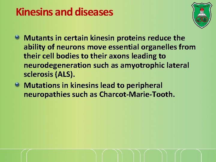 Kinesins and diseases Mutants in certain kinesin proteins reduce the ability of neurons move