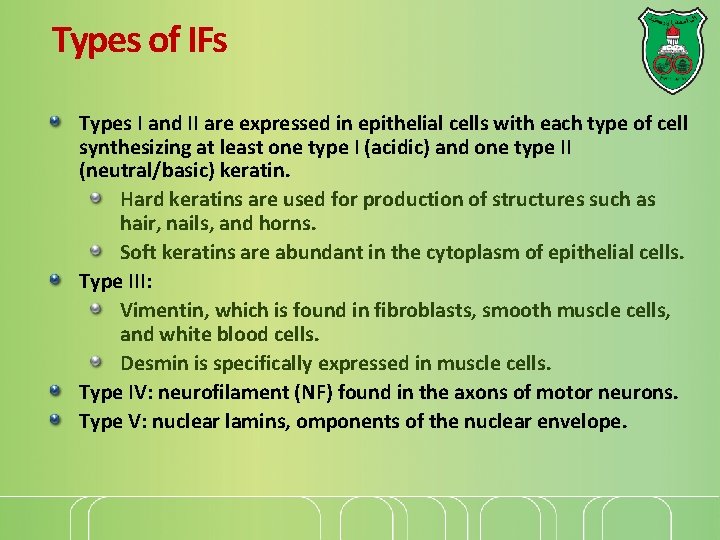 Types of IFs Types I and II are expressed in epithelial cells with each