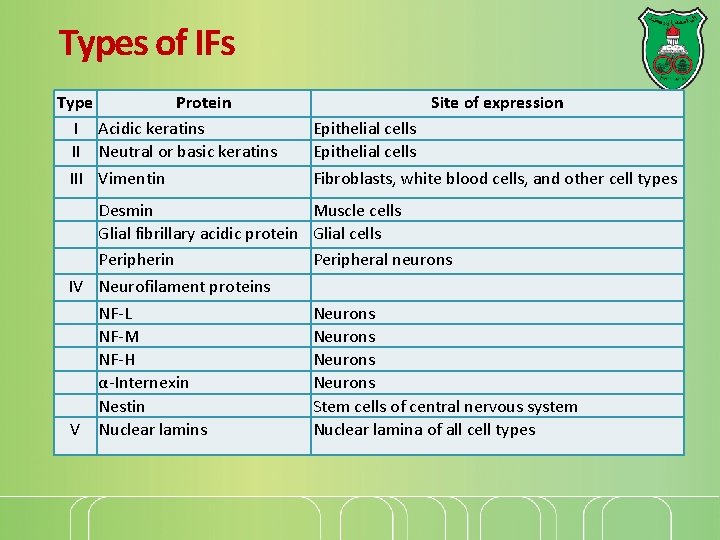 Types of IFs Type Protein I Acidic keratins II Neutral or basic keratins III