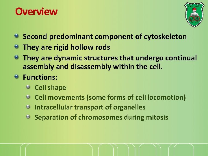 Overview Second predominant component of cytoskeleton They are rigid hollow rods They are dynamic