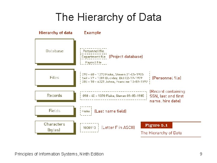 The Hierarchy of Data Principles of Information Systems, Ninth Edition 9 