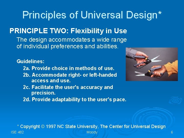 Principles of Universal Design* PRINCIPLE TWO: Flexibility in Use The design accommodates a wide