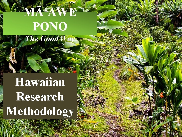 MĀʻAWE PONO The Good Way Hawaiian Research Methodology 