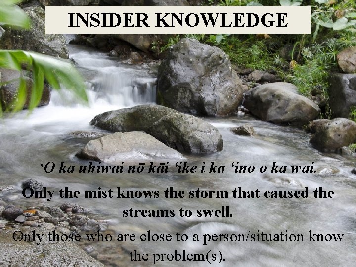 INSIDER KNOWLEDGE ʻO ka uhiwai nō kāi ʻike i ka ʻino o ka wai.