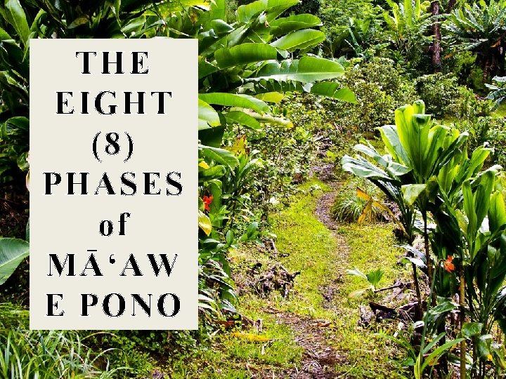 THE EIGHT (8) PHASES of MĀʻAW E PONO 