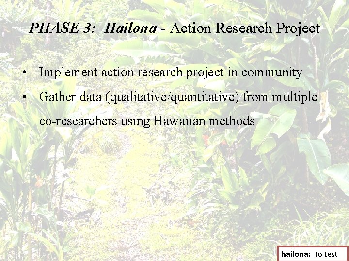 PHASE 3: Hailona - Action Research Project • Implement action research project in community