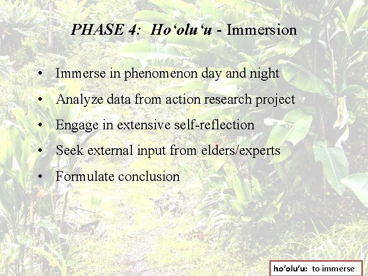 PHASE 4: Hoʻoluʻu - Immersion • Immerse in phenomenon day and night • Analyze