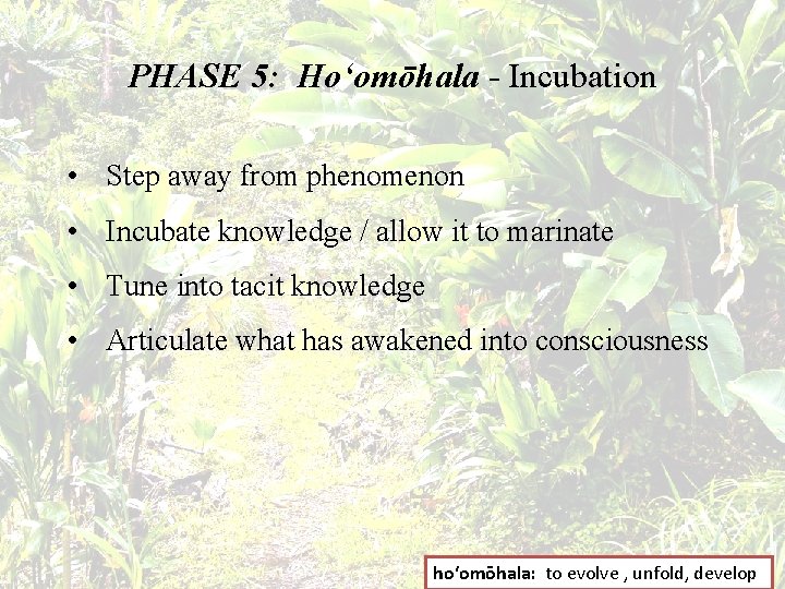 PHASE 5: Hoʻomōhala - Incubation • Step away from phenomenon • Incubate knowledge /