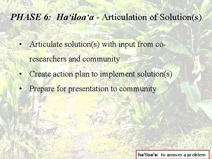 PHASE 6: Haʻiloaʻa - Articulation of Solution(s) • Articulate solution(s) with input from coresearchers